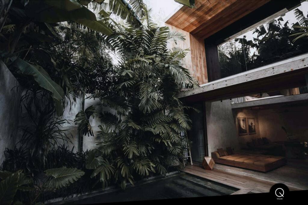 Q Loft - Tropical - Designer Loft - Villa