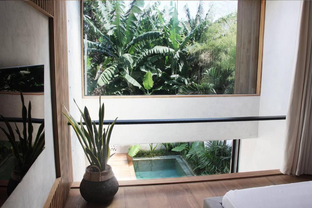Q Loft - Tropical - Designer Loft -