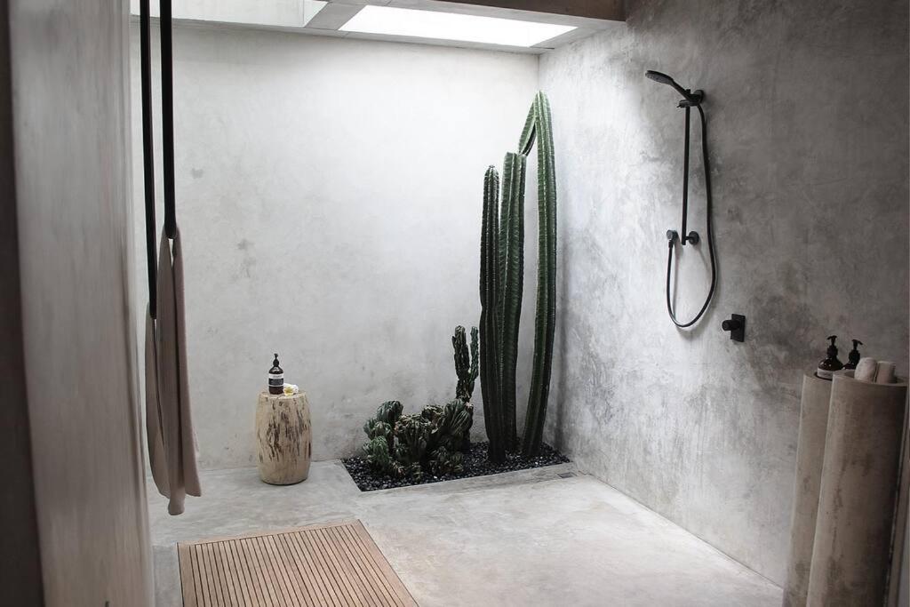 Q Loft - Tropical - Designer Loft - *